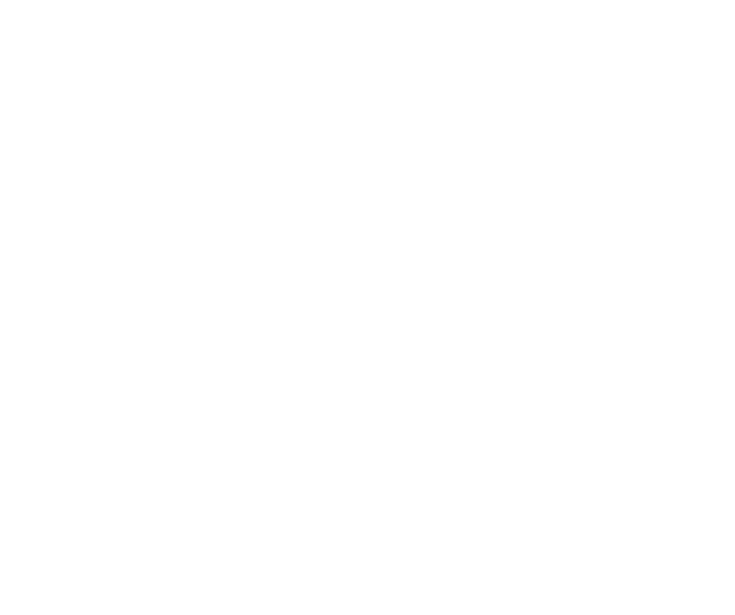 ASmartSolution Logo